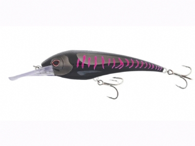 BLACK PINK MACKEREL