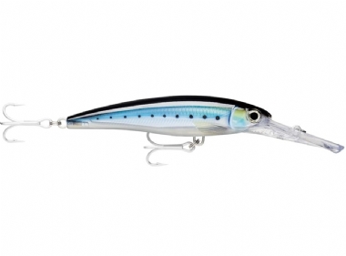 HD BLUE SARDINE