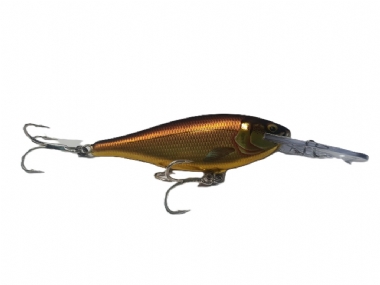 GILDED GOLDEN ABURNUS (GDGALB)