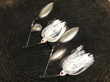 WHITE SHAD