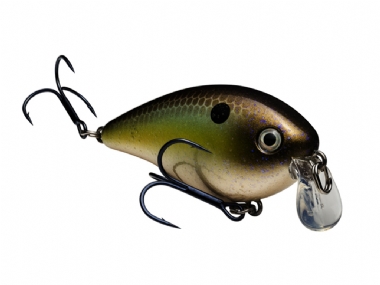 SUMMER SEXY SHAD