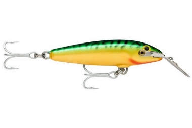 GREEN MACKEREL 