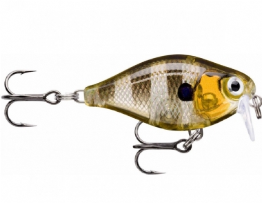 GLASSY GILL UV (GGIU)