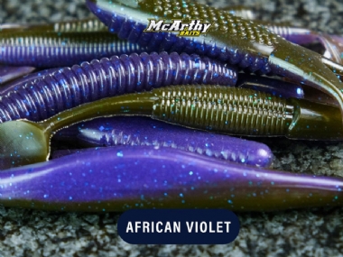 AFRICAN VIOLET
