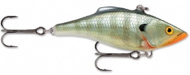 BLUEGILL