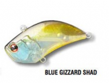 BLUE GIZZARD SHAD