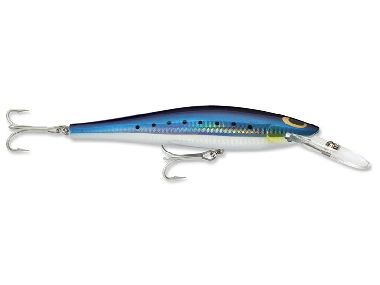 BLUE SARDINE