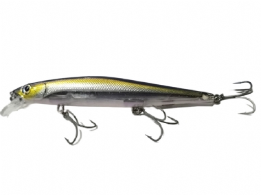 BOLD SHAD (BLSD)