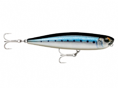 LIVE BLUE SARDINE (BSRDL)