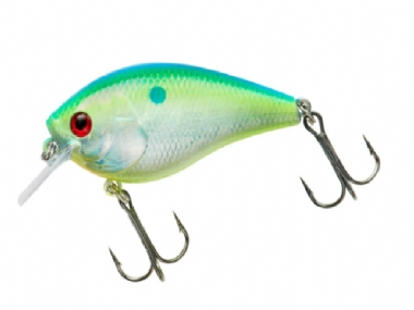 CITRUS SHAD