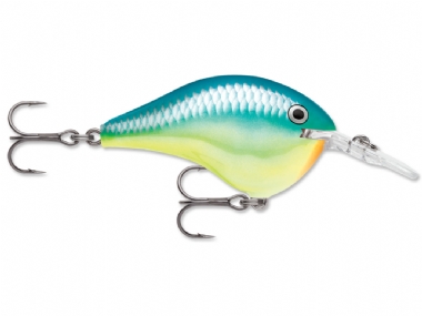 CARIBBEAN SHAD