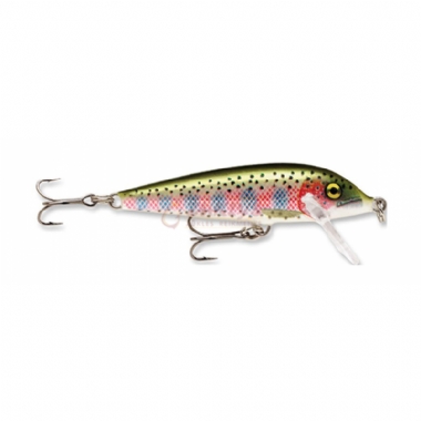 RAINBOW TROUT