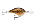 LIVE SMALLMOUTH BASS