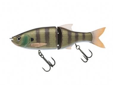 GREEN GILL (557)