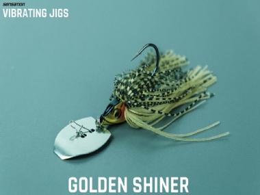 GOLDEN SHINER