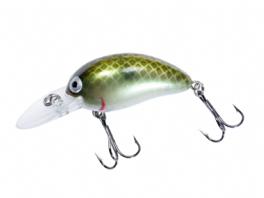 GREEN PEARL SHAD