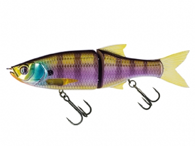 MX BLUE GILL  (486)