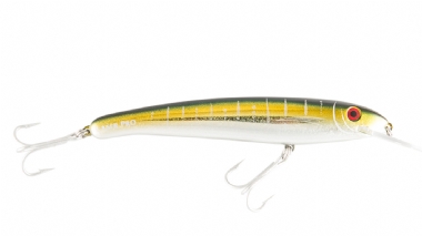 YELLOWFIN (H71)