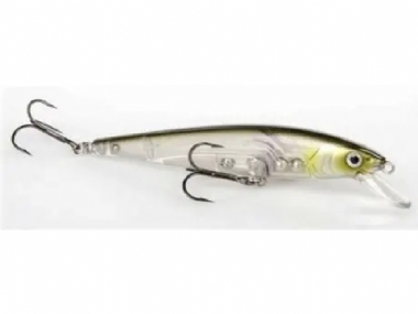 CLEAR WATER MINNOW