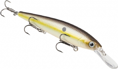 SUMMER SEXY SHAD