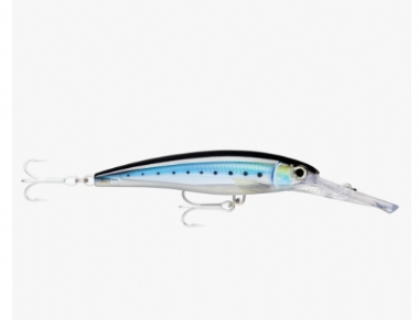 HD BLUE SARDINE