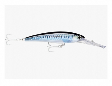 HD SILVER BLUE MACKEREL