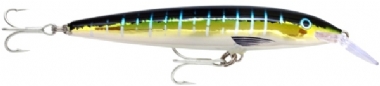 SAILFISH UV