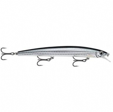 LIVE MULLET
