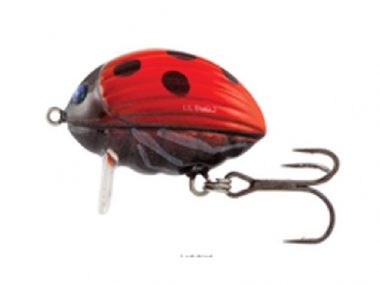 LADYBIRD