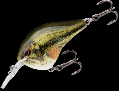 LIVE LARGEMOUTH BASS