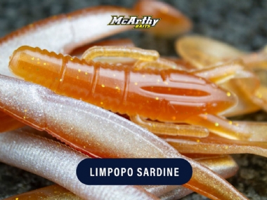 LIMPOPO SARDINE