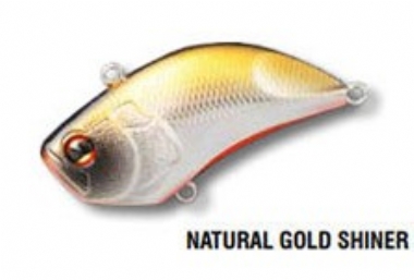NATURAL GOLD SHINER