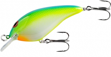 TROPICAL SHAD