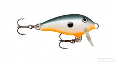 ORANGE SHAD (ORSD)