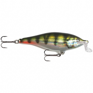 LIVE HOLOGRAM PERCH