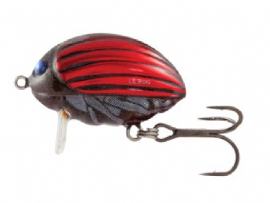 BLOODY BUG
