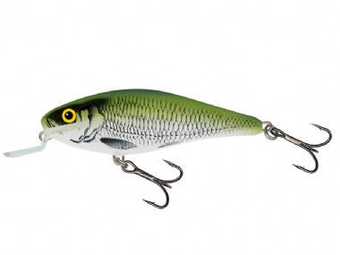 OLIVE BLEAK