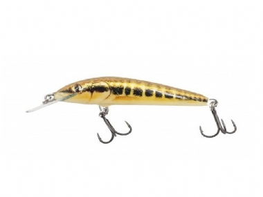 MINNOW