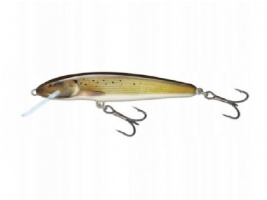 GRAYLING