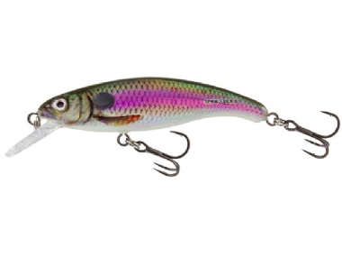 SPOT BAIT
