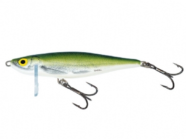 OLIVE BLEAK
