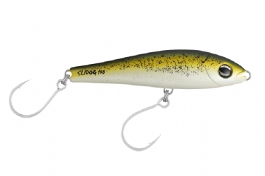 MUSTARD GRUNTER (R17)