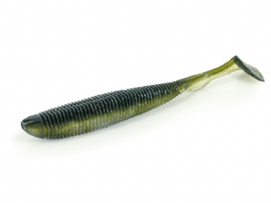 ALBURNO SHAD