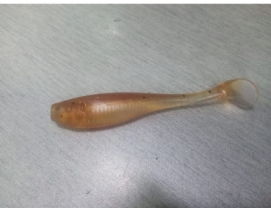 RIVER PRAWN