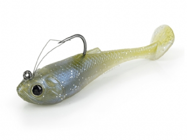 OLIVE SHAD