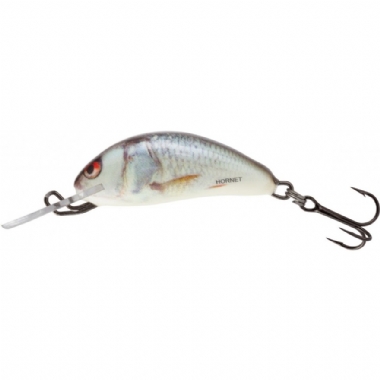 REEL DACE