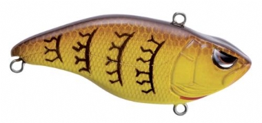 SPRING CRAW
