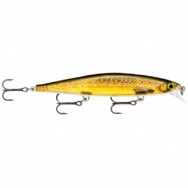 LIVE TROUT
