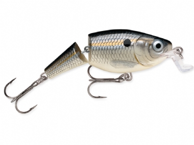 SILVER SHAD