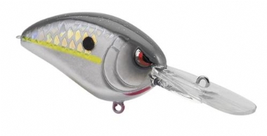 HOMEMADE SHAD
